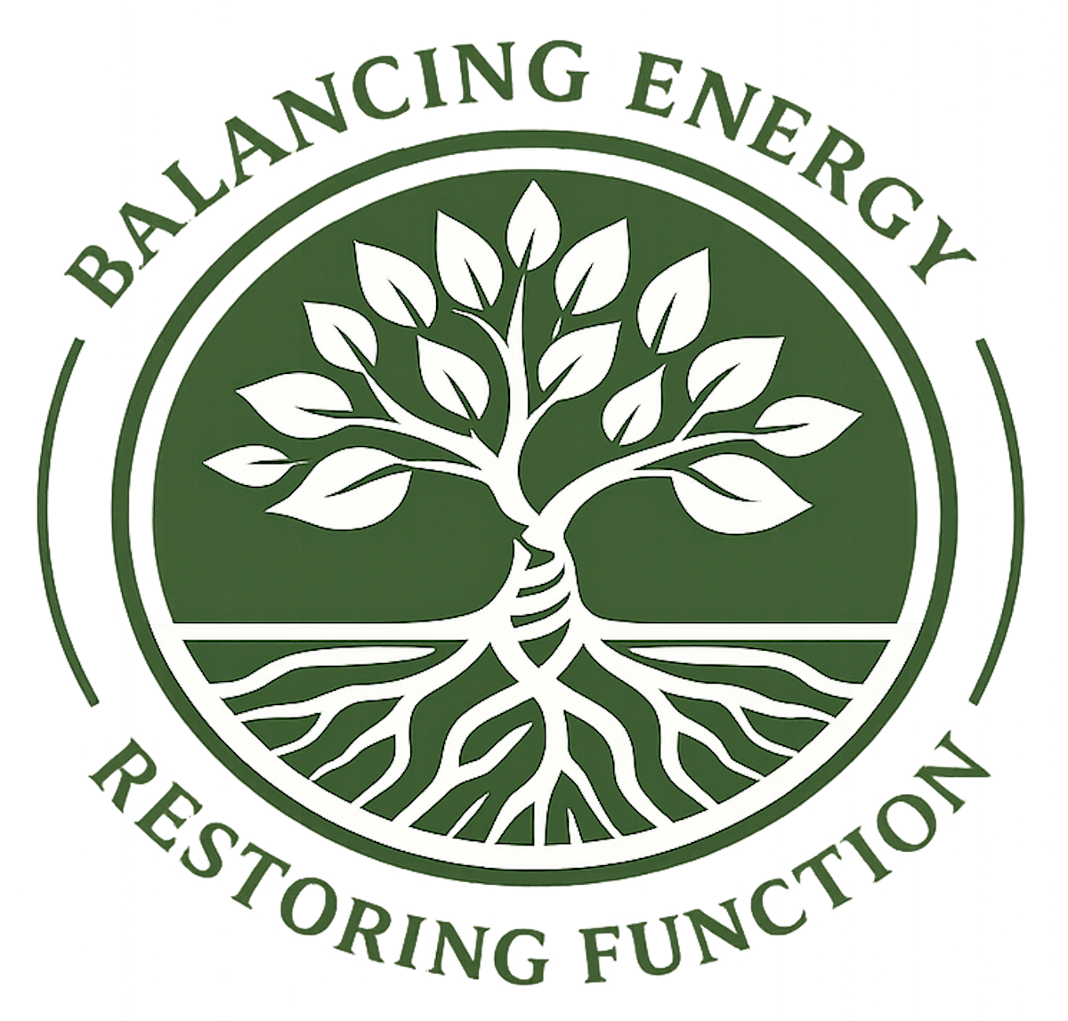 Energy & Function Clinic logo